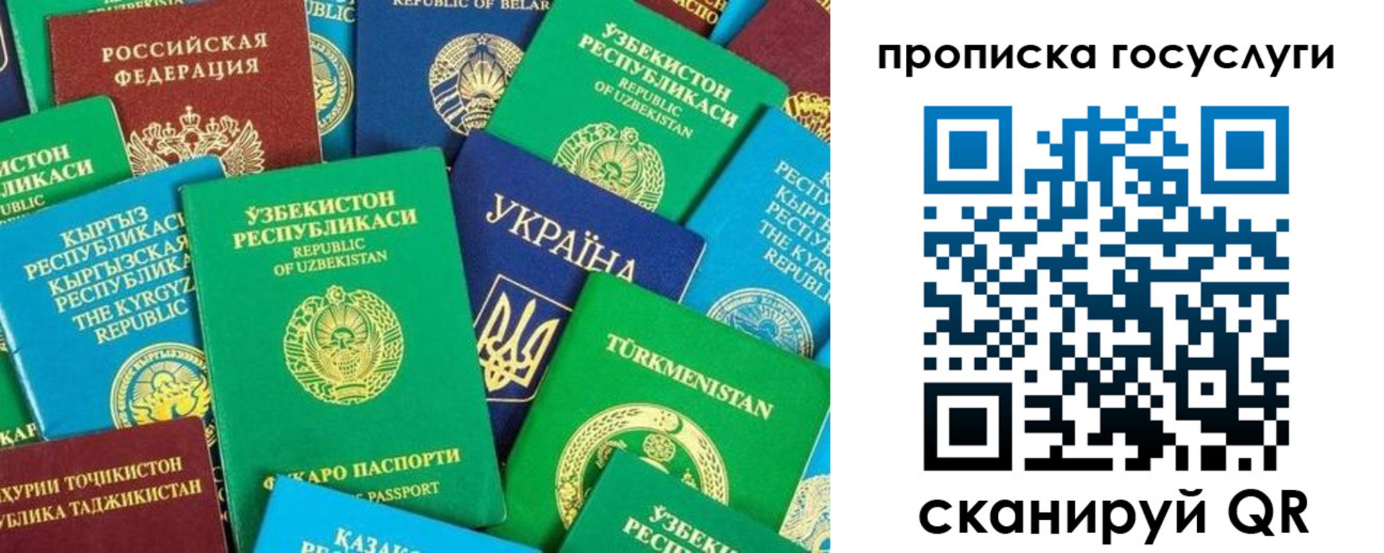 временная регистрация для всех в Райчихинске